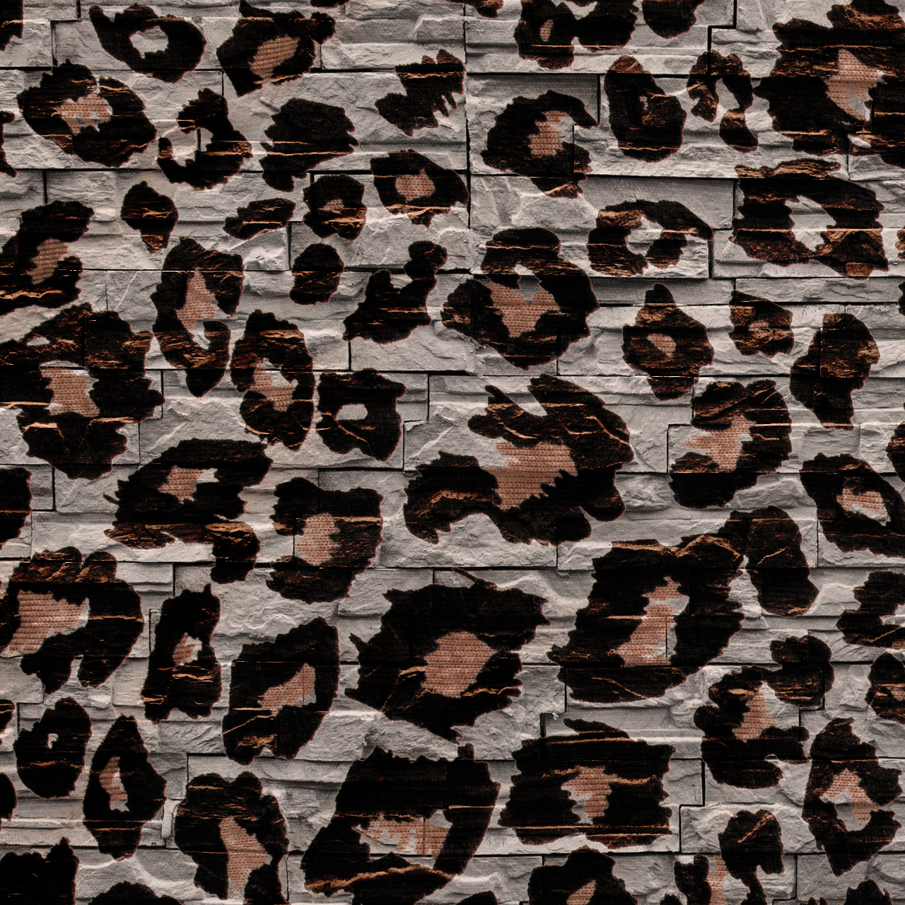 Miscellaneous Accessories